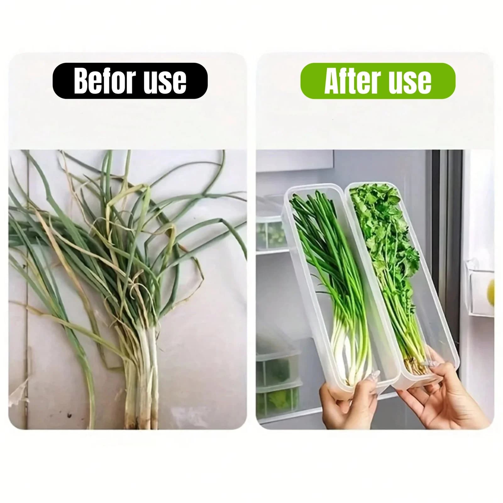 1/2/4Pcs Cajas de almacenamiento para refrigerador con tapa Caja de conservación fresca de plástico para cocina, cebollines, cilantro, huevos, fideos, recipiente sellado