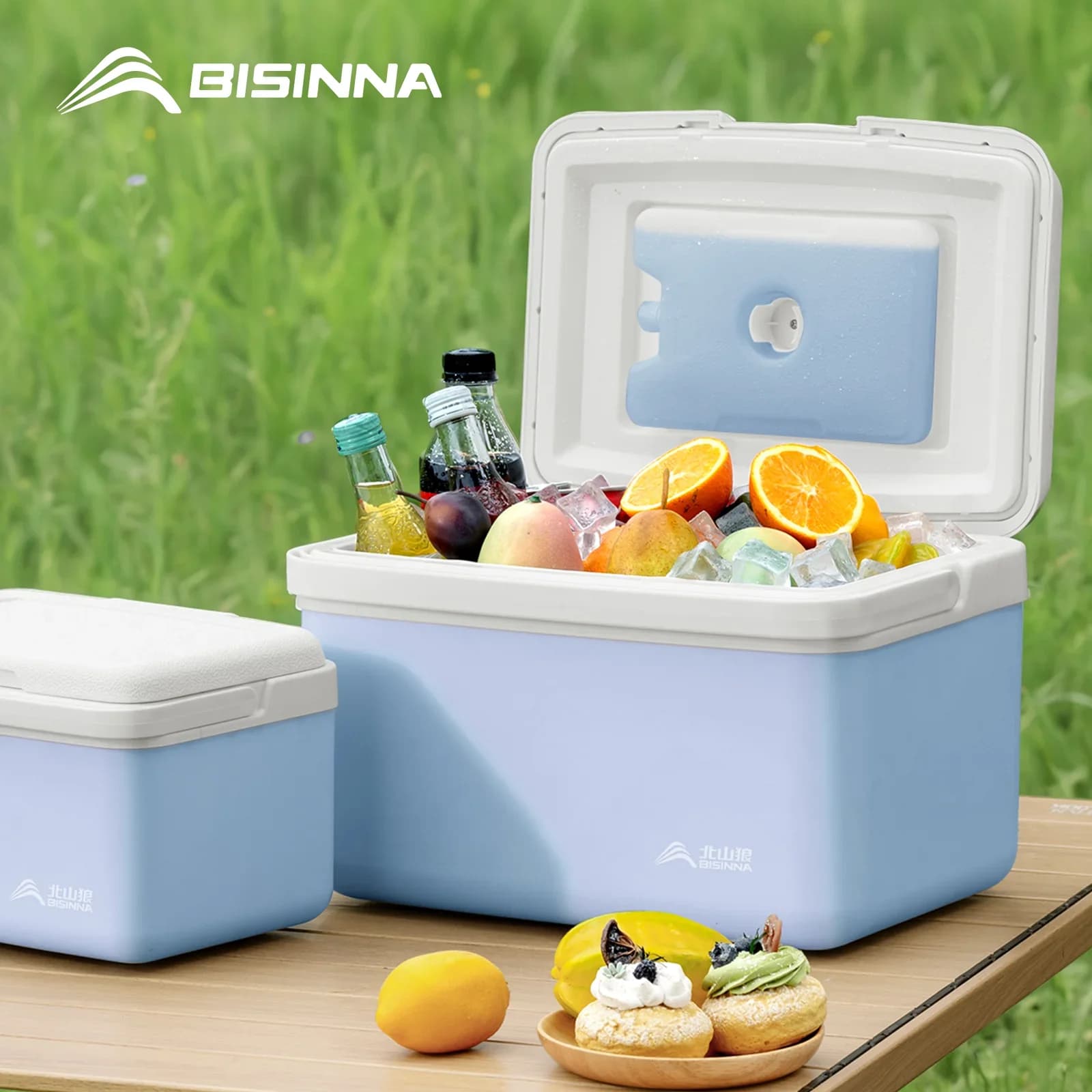 BISINNA Caja térmica para camping 6L/9L/15L, nevera portátil para pesca, nevera para coche, exterior, playa, pesca, picnic, barbacoa, cubo para hielo
