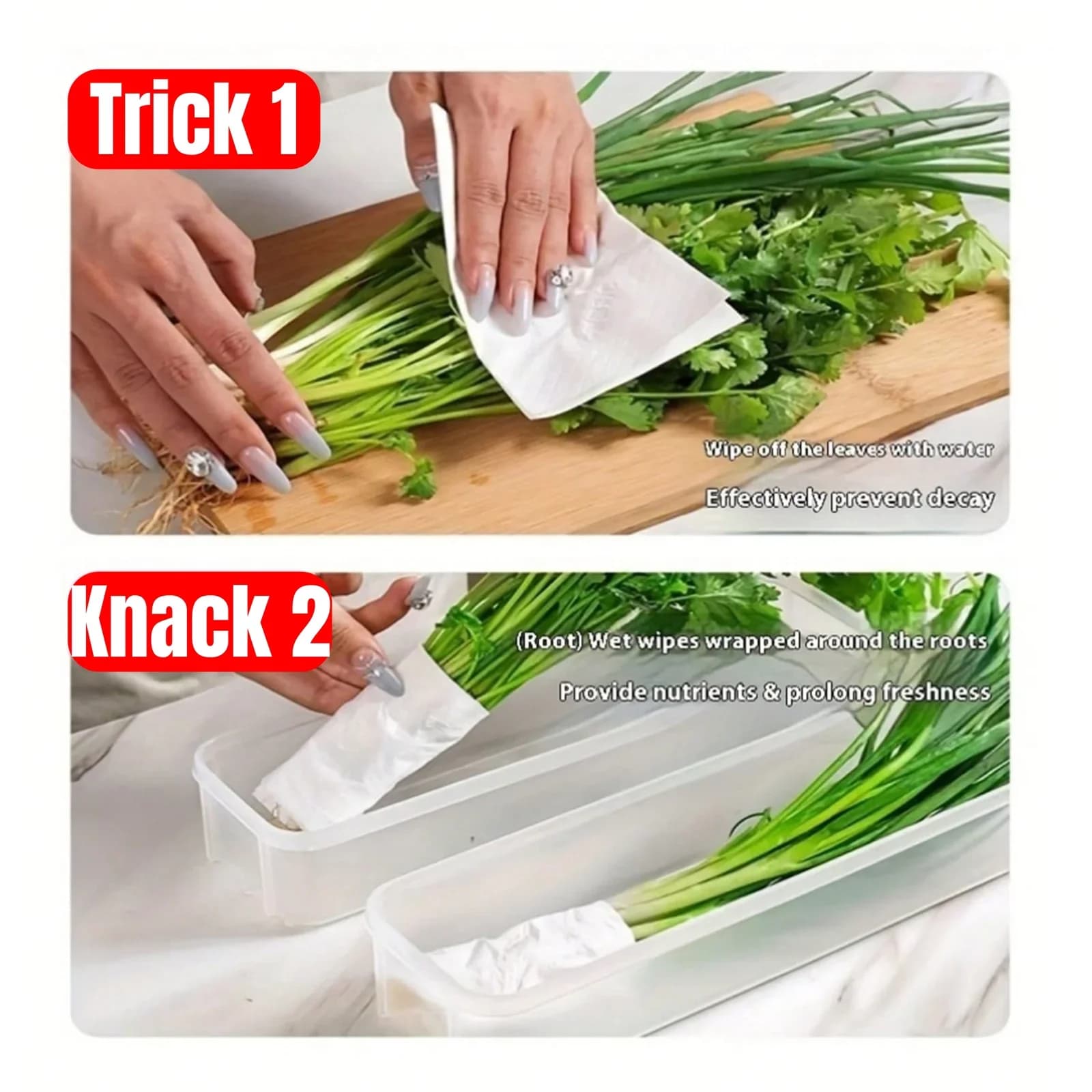 1/2/4Pcs Cajas de almacenamiento para refrigerador con tapa Caja de conservación fresca de plástico para cocina, cebollines, cilantro, huevos, fideos, recipiente sellado