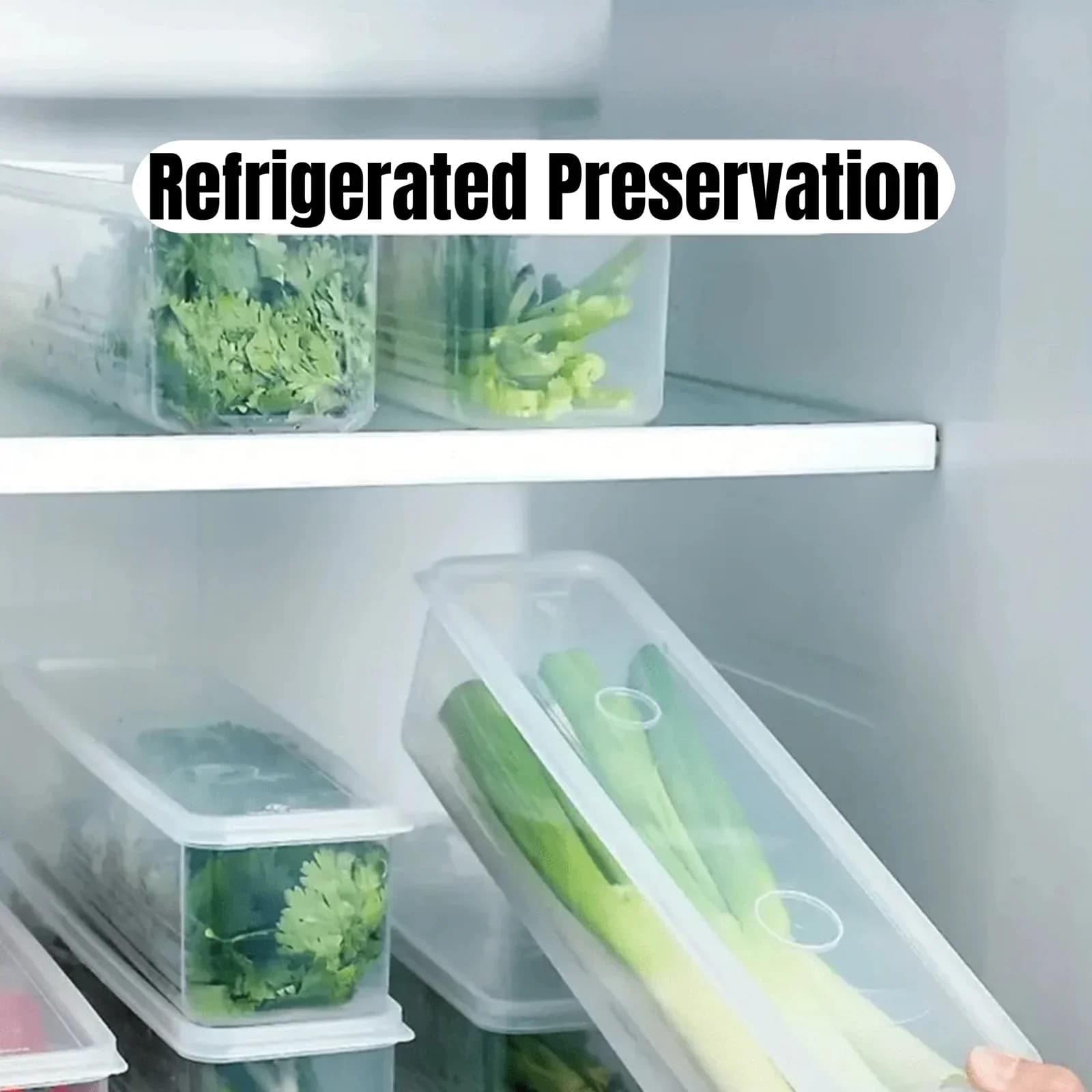 1/2/4Pcs Cajas de almacenamiento para refrigerador con tapa Caja de conservación fresca de plástico para cocina, cebollines, cilantro, huevos, fideos, recipiente sellado